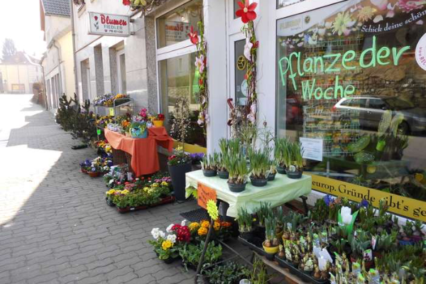 Bild 1 von Blumen Fiedler